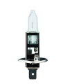 12V 55Watt Range Power
